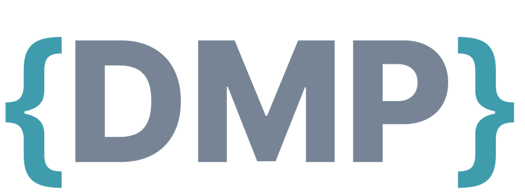 DMP Bridge image